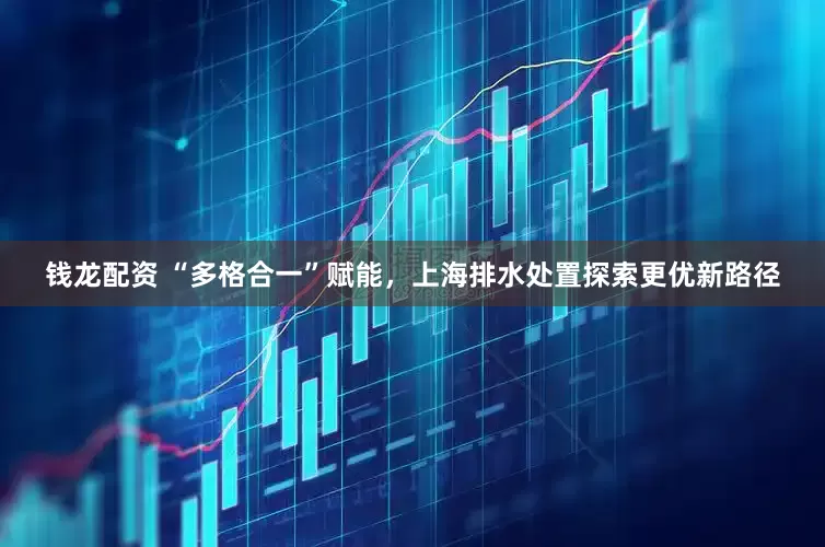 钱龙配资 “多格合一”赋能，上海排水处置探索更优新路径