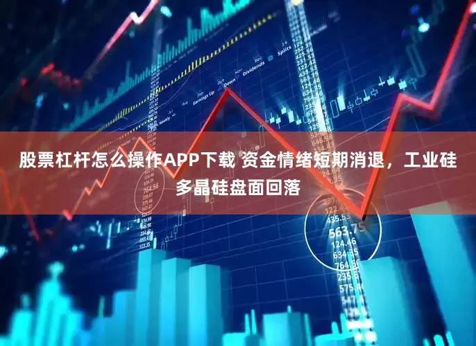股票杠杆怎么操作APP下载 资金情绪短期消退，工业硅多晶硅盘面回落
